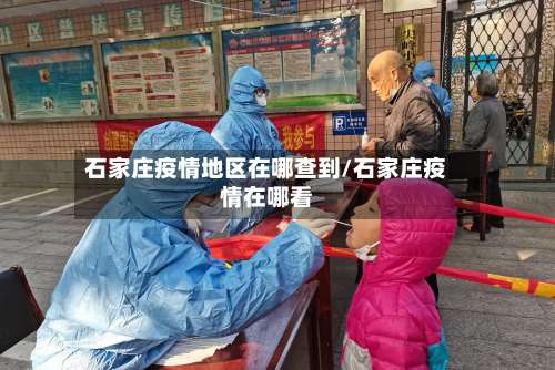 石家庄疫情地区在哪查到/石家庄疫情在哪看-第3张图片