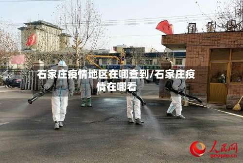 石家庄疫情地区在哪查到/石家庄疫情在哪看-第2张图片