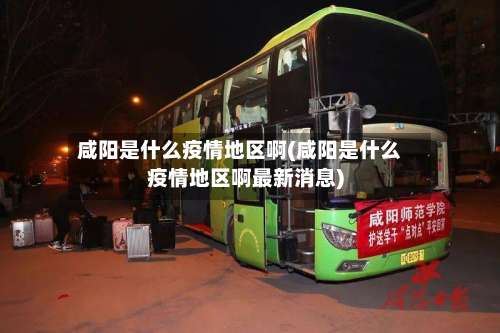 咸阳是什么疫情地区啊(咸阳是什么疫情地区啊最新消息)-第2张图片