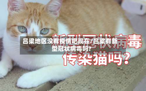 吕梁地区没有疫情吧现在/吕梁有新型冠状病毒吗?-第1张图片