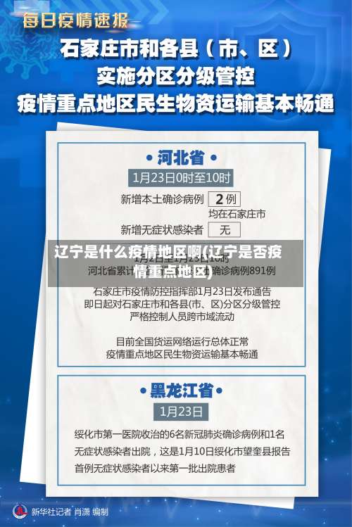 辽宁是什么疫情地区啊(辽宁是否疫情重点地区)-第2张图片