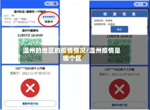 温州的地区的疫情情况/温州疫情是哪个区-第3张图片