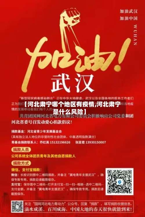 【河北肃宁哪个地区有疫情,河北肃宁是什么风险】-第3张图片