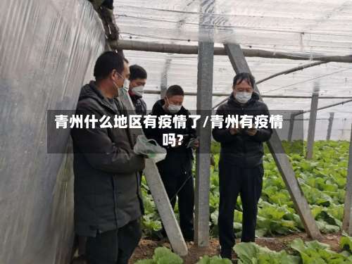 青州什么地区有疫情了/青州有疫情吗?-第3张图片
