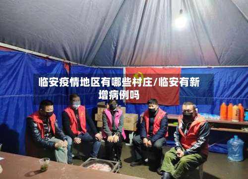 临安疫情地区有哪些村庄/临安有新增病例吗-第2张图片