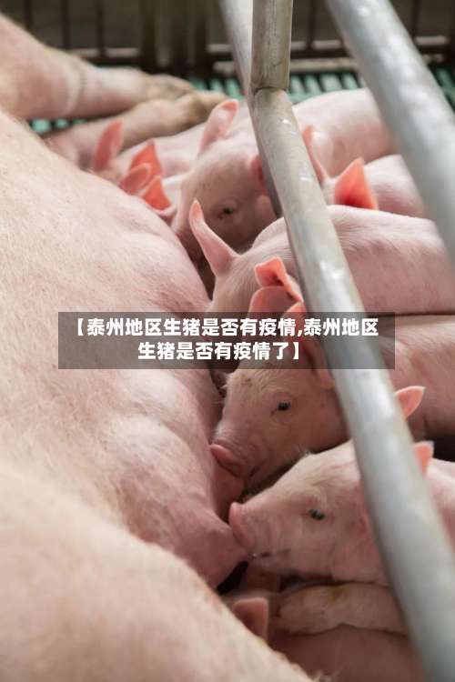 【泰州地区生猪是否有疫情,泰州地区生猪是否有疫情了】-第1张图片