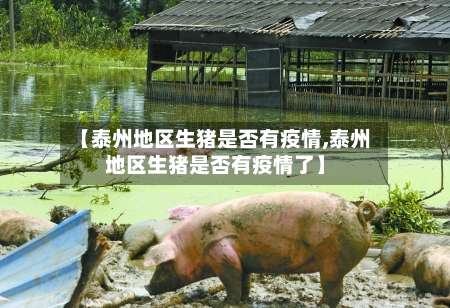 【泰州地区生猪是否有疫情,泰州地区生猪是否有疫情了】-第2张图片