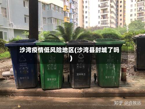 沙湾疫情低风险地区(沙湾县封城了吗)-第2张图片