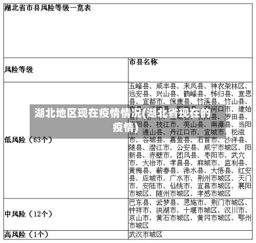 湖北地区现在疫情情况(湖北省现在的疫情)-第3张图片