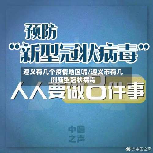 遵义有几个疫情地区呢/遵义市有几例新型冠状病毒-第1张图片