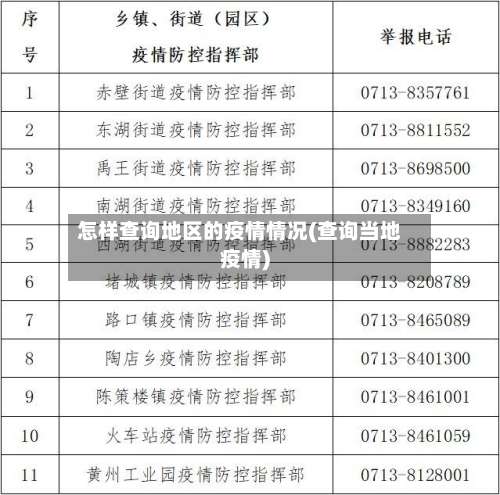 怎样查询地区的疫情情况(查询当地疫情)-第1张图片