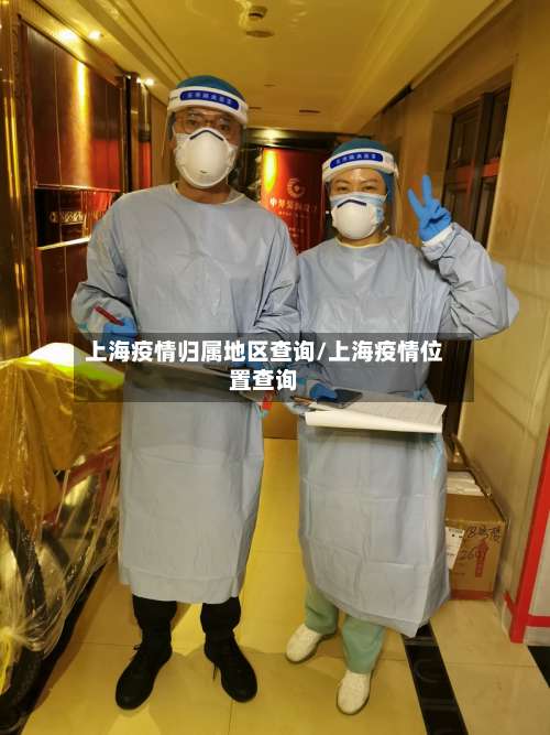上海疫情归属地区查询/上海疫情位置查询-第1张图片
