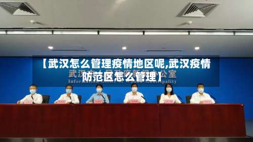 【武汉怎么管理疫情地区呢,武汉疫情防范区怎么管理】-第2张图片