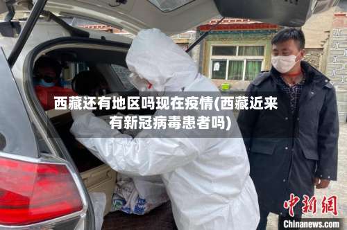 西藏还有地区吗现在疫情(西藏近来有新冠病毒患者吗)-第3张图片