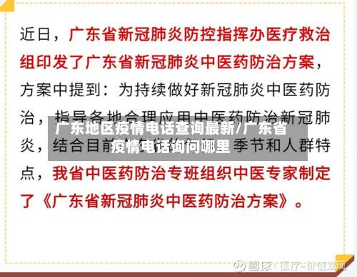 广东地区疫情电话查询最新/广东省疫情电话询问哪里-第2张图片