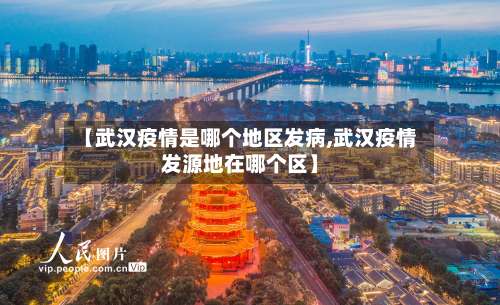 【武汉疫情是哪个地区发病,武汉疫情发源地在哪个区】-第3张图片