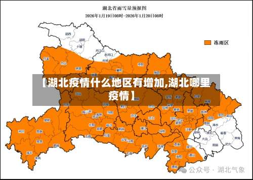 【湖北疫情什么地区有增加,湖北哪里疫情】-第2张图片