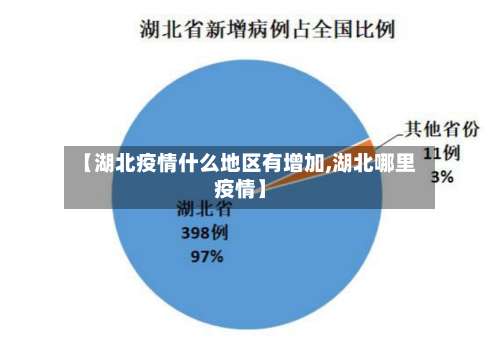 【湖北疫情什么地区有增加,湖北哪里疫情】-第1张图片