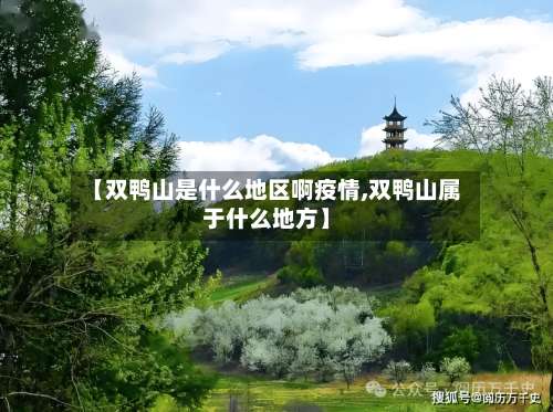 【双鸭山是什么地区啊疫情,双鸭山属于什么地方】-第3张图片