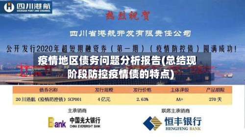 疫情地区债务问题分析报告(总结现阶段防控疫情债的特点)-第3张图片