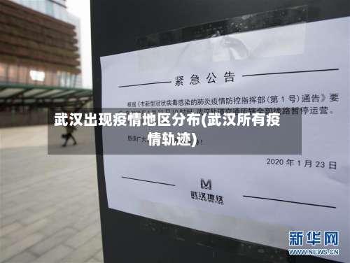 武汉出现疫情地区分布(武汉所有疫情轨迹)-第2张图片