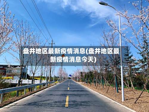盘井地区最新疫情消息(盘井地区最新疫情消息今天)-第1张图片