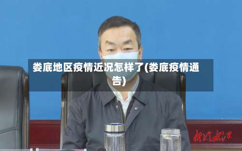 娄底地区疫情近况怎样了(娄底疫情通告)-第2张图片