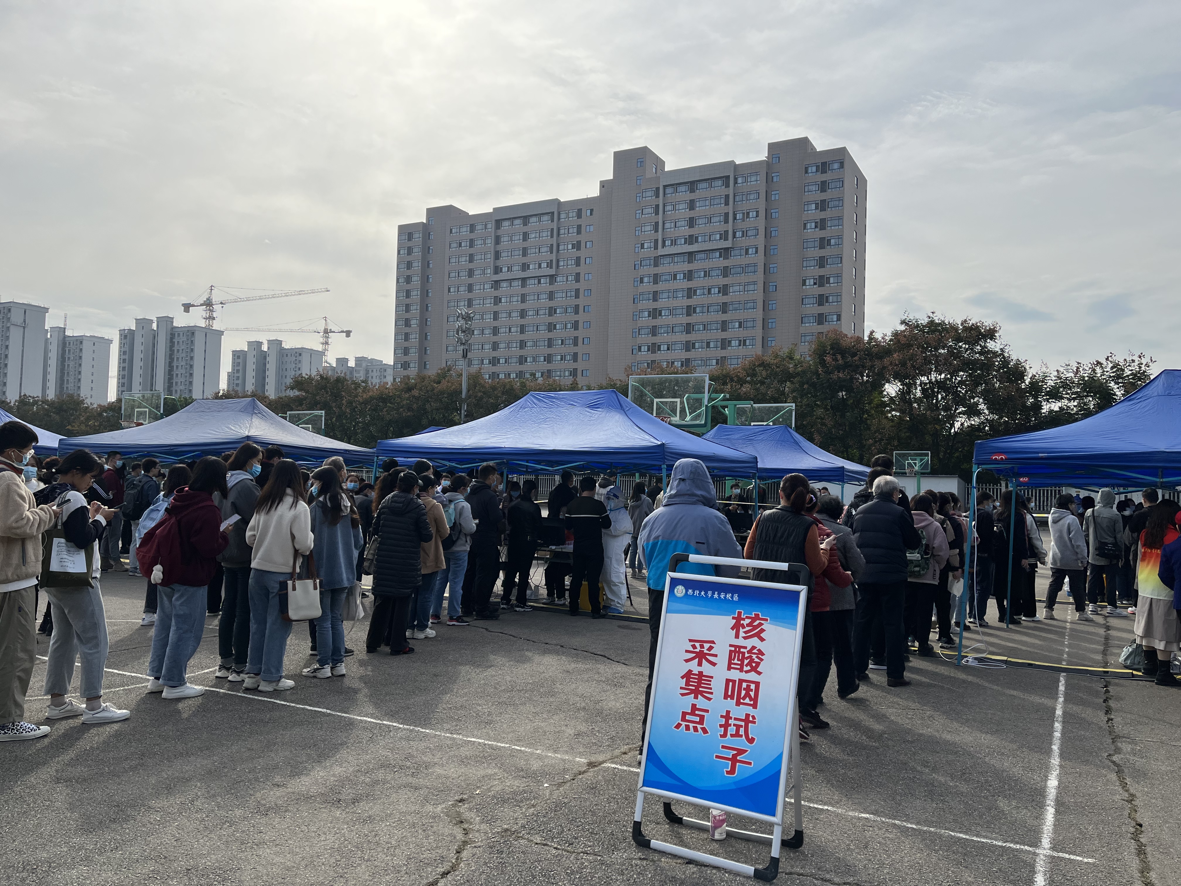 “专家回应常态化做核酸安全吗” 常态化核酸检测？-第1张图片